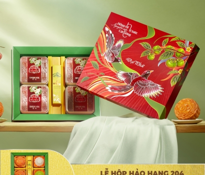HỘP BÁNH TRUNG THU HỒNG KÔNG & DẺO - MÃ 204