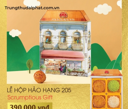 Lễ Hộp Hảo Hạng 205