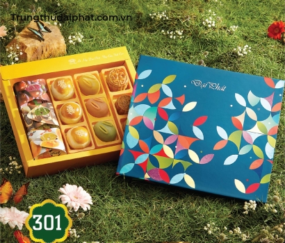 Lễ Hộp Đặc Biệt 301