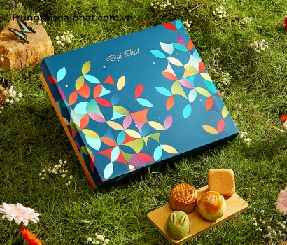 Lễ Hộp Đặc Biệt 301